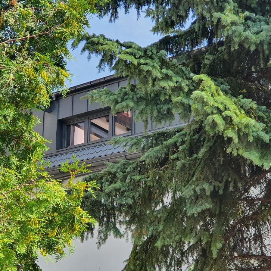 Apartamenty Kapielowa Bialy エウク エクステリア 写真